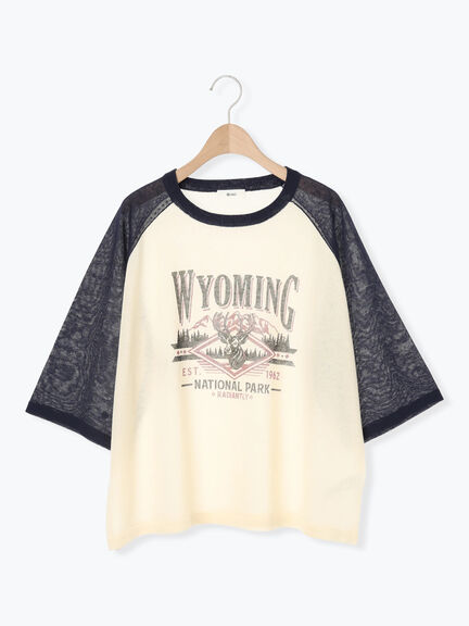 ラグランスリーブプリントシアーニット(ブラック/ブラウン/グリーン/ネイビー)|SM2(エスエムツー)通販