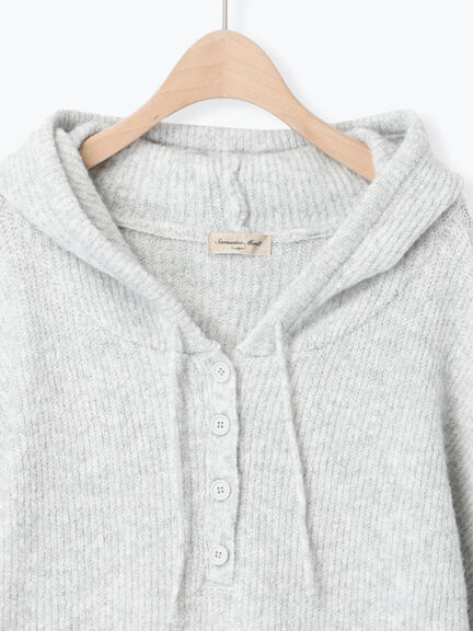 フード付きヘンリーネックニット（グレー/ベージュ/ダークブラウン）｜Samansa Mos2（サマンサ モスモス）通販