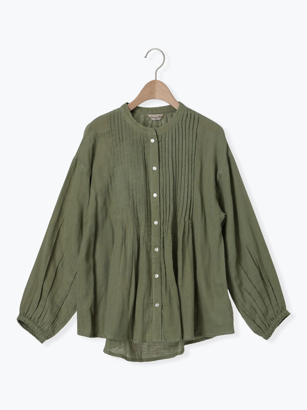 イモムシ様 5億年前の化石、特徴的な見た目のイモムシだったと判明 | ギズモード