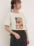 [リサイクルコットン]柄アソートTシャツ（オフホワイト/チャコールグレー/ミント/キナリ）｜Samansa Mos2（サマンサ モスモス）通販