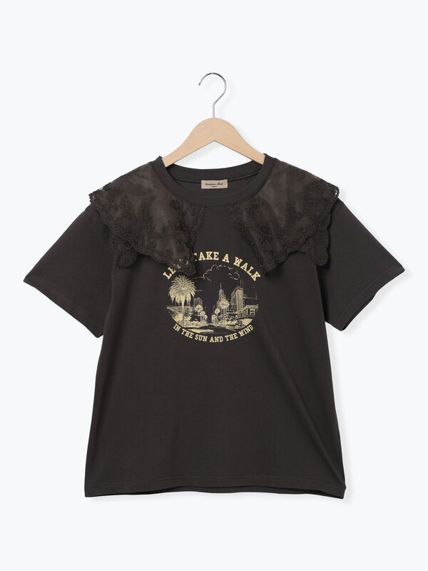 セール】 シアーレース襟付Tシャツ（オフホワイト/グレー