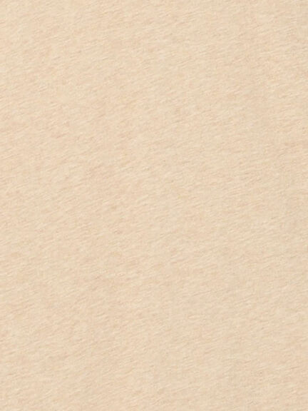 【吸湿発熱】襟レースシャーリングカットソー（オフホワイト/ブラック/ベージュ）｜Samansa Mos2（サマンサ モスモス）通販