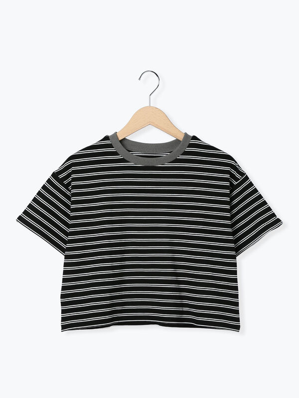 【美品】&MOSS クロップドトップス（M） セール】 クロップドTシャツ（オフホワイト/ブラック/モカ/トップス/T