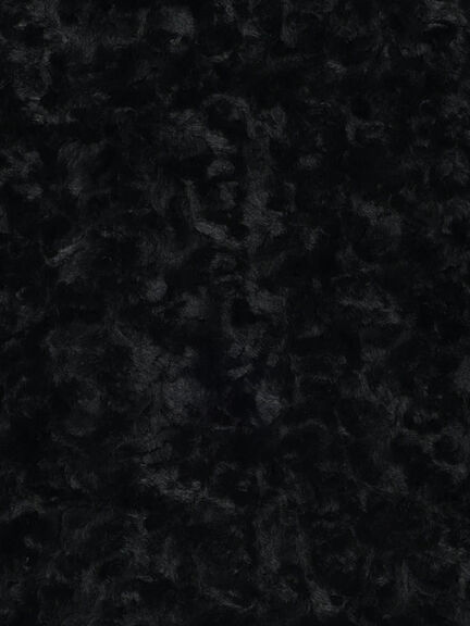 【佐藤晴美着用】パールドットエコファーショートコート（オフホワイト/ブラック）｜Te chichi（テチチ）通販