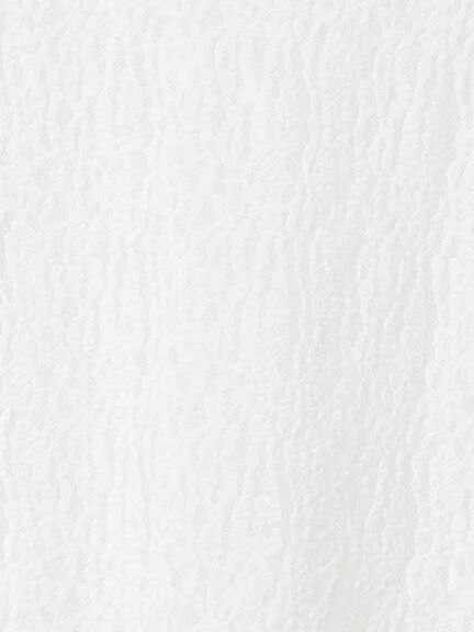 【Atelier Sucre】レースボートネックプルオーバー《2025spring catalog item》（オフホワイト）｜Te chichi（テチチ）通販