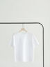 クルーネックTシャツ(compact)（オフホワイト）｜Te chichi（テチチ）通販