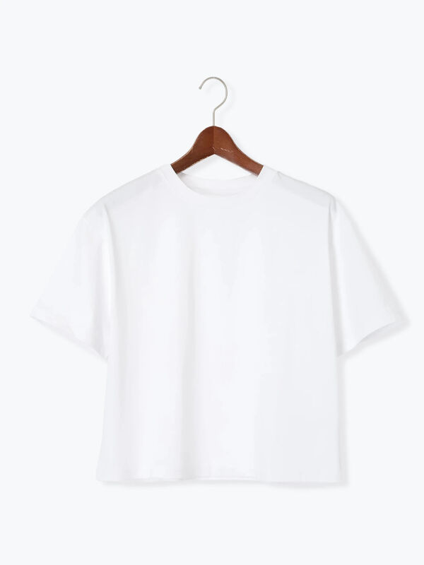 セール】 クルーネックTシャツ(BOX)(オフホワイト/トップス/Tシャツ セール】 クルーネックTシャツ(BOX)(オフホワイト/トップス/Tシャツ