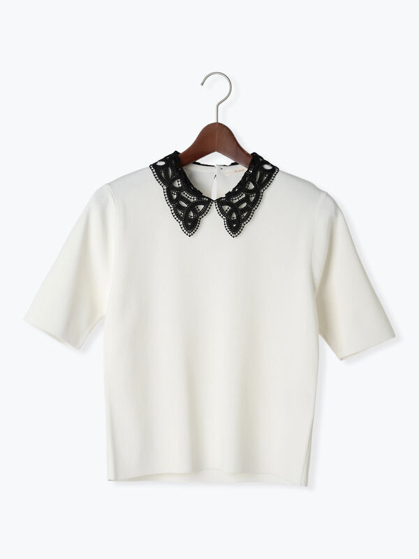 セール】 レースカラー5分袖ニットプルオーバー（オフホワイト