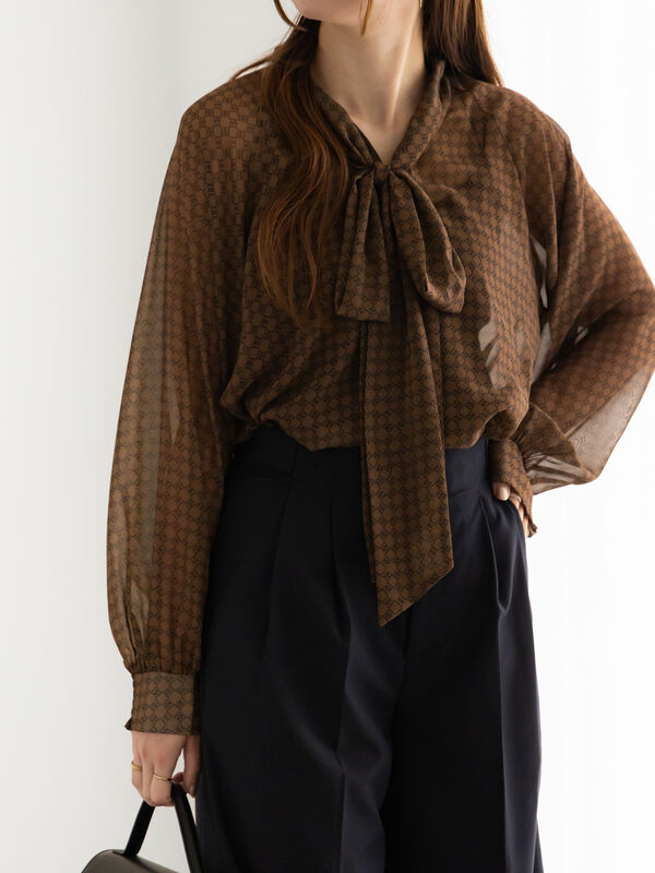 パターンアソートシフォンボウタイブラウス《2025Autumn catalog vol.2 item》（ブラウン）｜Te chichi（テチチ）通販