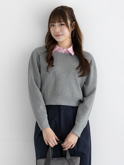 コンパクトクルーネックニット【AOYAMA FASHION ASSOCIATION × Té chichi】（グレー/ネイビー）｜Te chichi（テチチ）通販