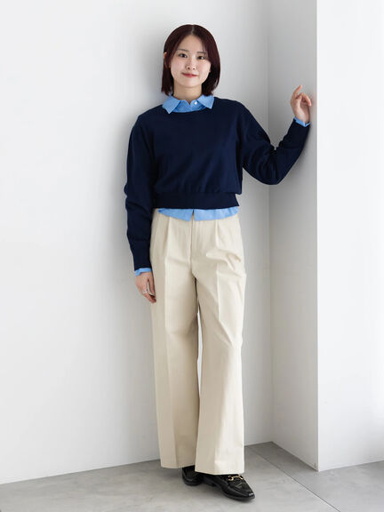 プリンセスラインクロップトシャツ【AOYAMA FASHION ASSOCIATION × Té chichi】（ピンク/サックスブルー）｜Te chichi（テチチ）通販