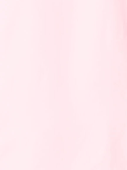 プリンセスラインクロップトシャツ【AOYAMA FASHION ASSOCIATION × Té chichi】（ピンク/サックスブルー）｜Te chichi（テチチ）通販