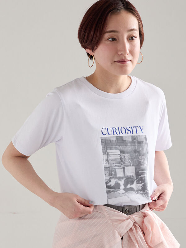 期間限定】 アソートネコフォトスタンダードTシャツ（ブラック/レッド