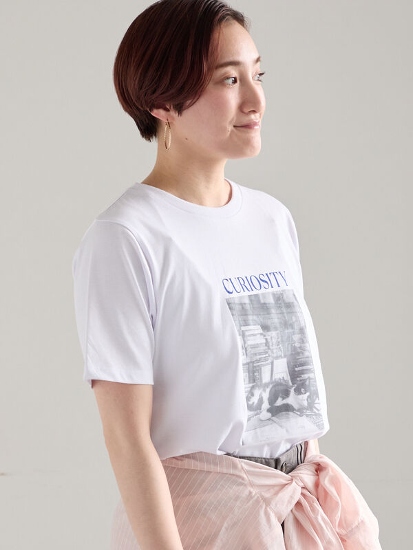 セール】 アソートネコフォトスタンダードTシャツ（ブラック/レッド