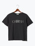 ラインストーン×刺繍Tシャツ（オフホワイト/チャコールグレー/ブラック/モカ）｜Te chichi TERRASSE（テチチ テラス）通販