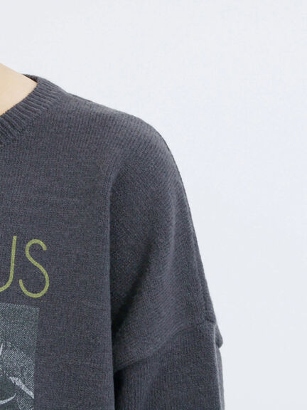 【Disney】ヴィランズ/ニット（オフホワイト/グレー/ネイビー）｜Samansa Mos2 blue（サマンサモスモス ブルー）通販