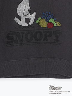 正規販売店】 The Of Fruits スウェット Loom snoopy peanuts 80s90s 
