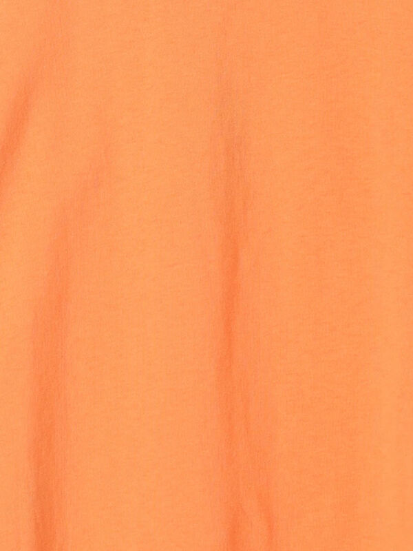 セール】 【Champion別注】サガラ刺繍半袖Tシャツ（オフホワイト