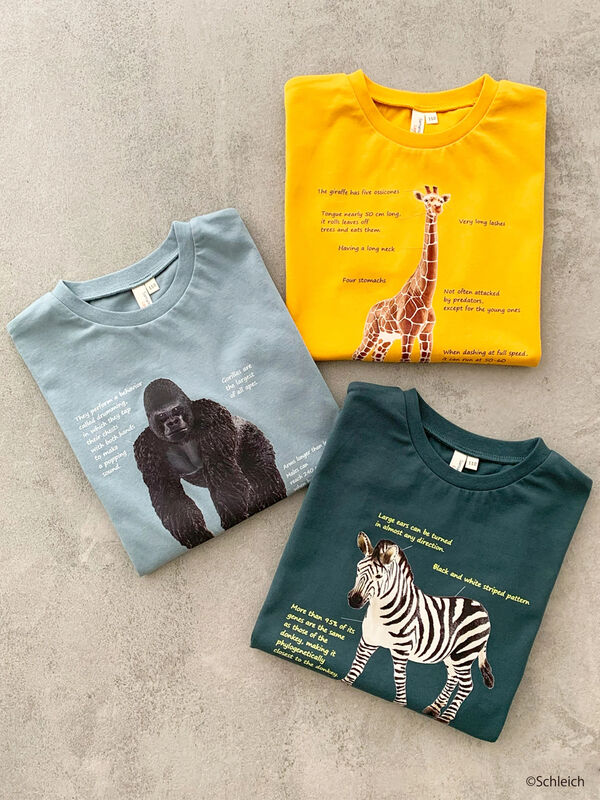 ザモッズ　CD２８枚セット+オマケ有 ザモッズ CD28枚セット+オマケ有 - メルカリ