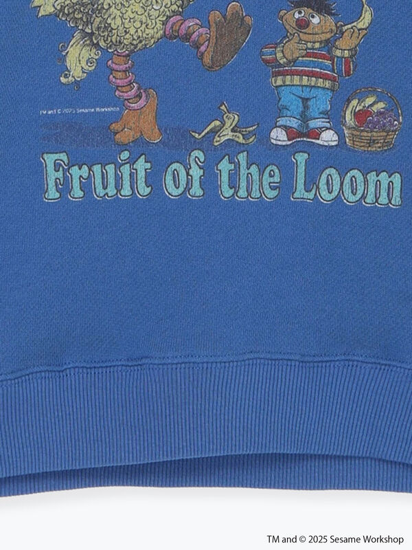 セール】 【FRUIT OF THE LOOM】ビッグバード トレーナー（ブルー