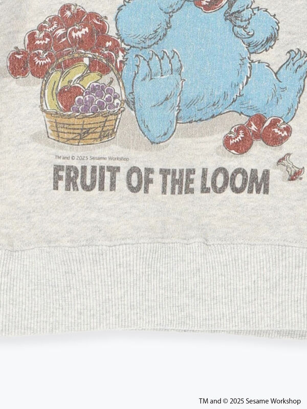 セール】 【FRUIT OF THE LOOM】 クッキーモンスター トレーナー