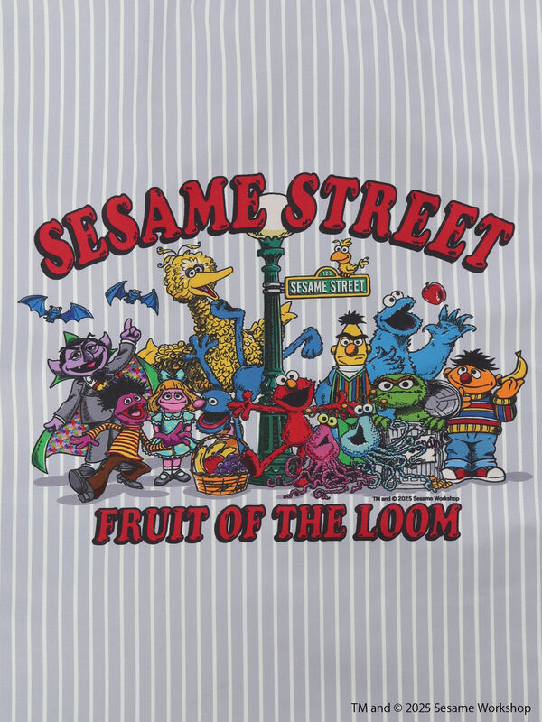 セール】 【FRUIT OF THE LOOM】セサミストリート トートバッグ大