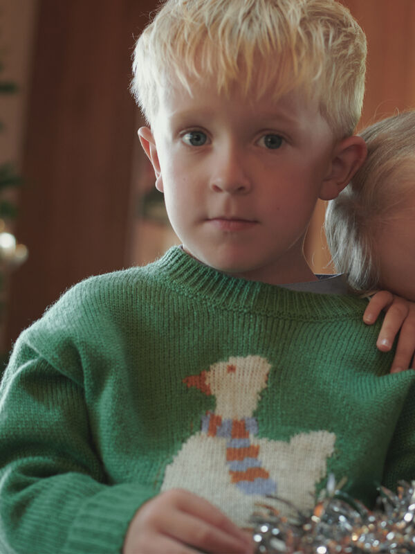 マシンウォッシャブル】アヒルジャカードニット（ピンク/グリーン