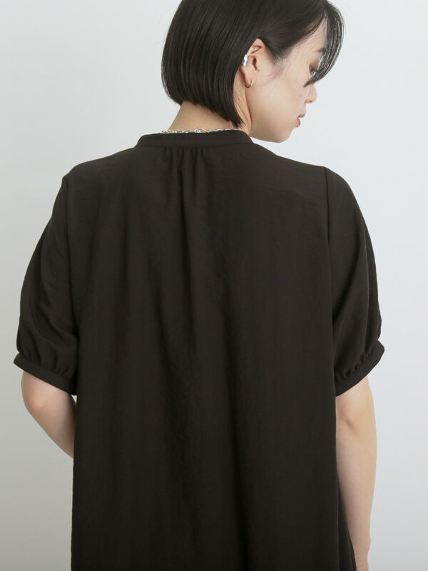 【サービス品@880】モンロー錦(覆輪斑) アガベ チタノタ 狼人錦 白中斑 安定錦 精選株 覆輪斑 永久斑