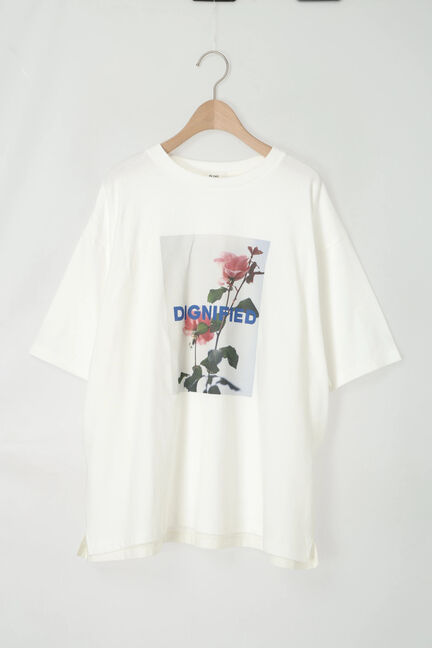 [接触冷感]バックシャーリング転写プリントTシャツ（オフホワイト/ブラック/ピンク/クリーム）｜SM2（エスエムツー）通販