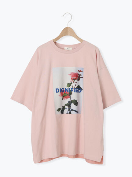 [接触冷感]バックシャーリング転写プリントTシャツ（オフホワイト/ブラック/ピンク/クリーム）｜SM2（エスエムツー）通販