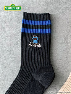 ソックスM2袋 ZX V2 SOCKS｜Japan official｜alpinestars アルパインスターズ