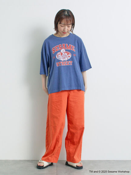 【SESAME STREET meets SM2】プリントアソートTシャツ（オフホワイト/グレー/イエロー/ネイビー）｜SM2（エスエムツー）通販